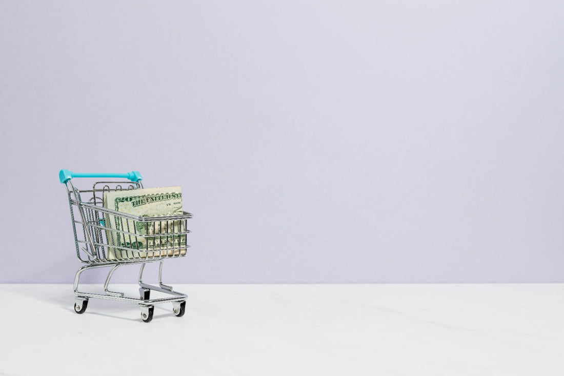 Tiny shopping cart with money in it. 